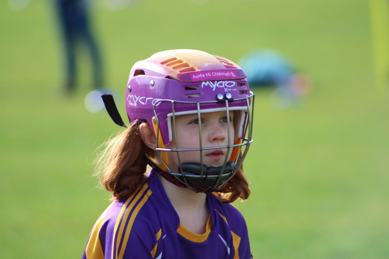 Go Game no. 8 versus Westmanstown Gaels away at Westmanstown Sunday 16th September