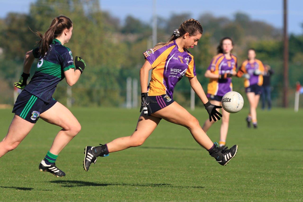 U15A Ladies Win County Football Championship