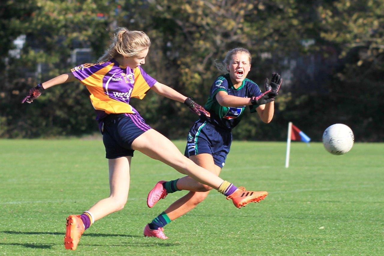 U15A Ladies Win County Football Championship