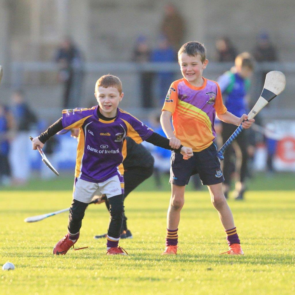 Senior Hurling Final Replay