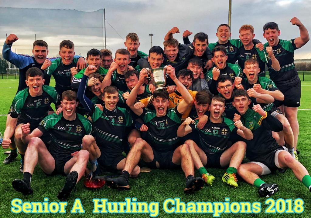 Big Crokes Involvement in great win for St.Benildus College - Dublin Senior A Hurling