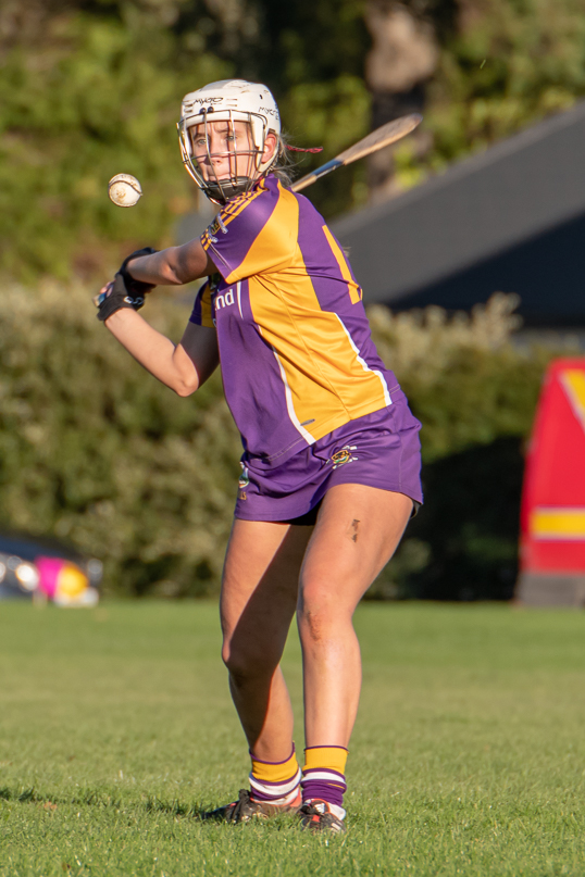 Championship Semi Final win for Kilmacud Crokes Minor A Camogie over Judes