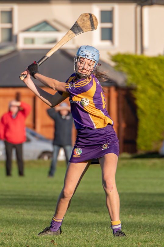 Championship Semi Final win for Kilmacud Crokes Minor A Camogie over Judes