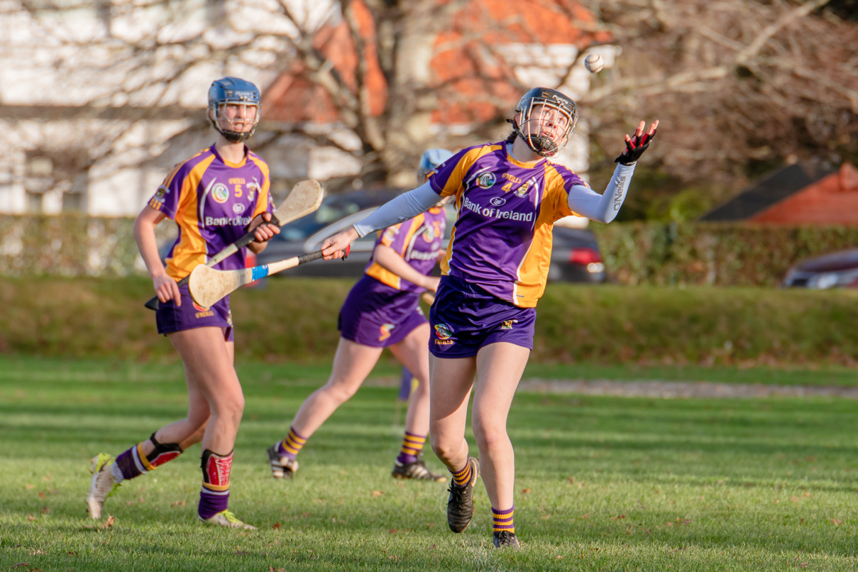 Championship Semi Final win for Kilmacud Crokes Minor A Camogie over Judes