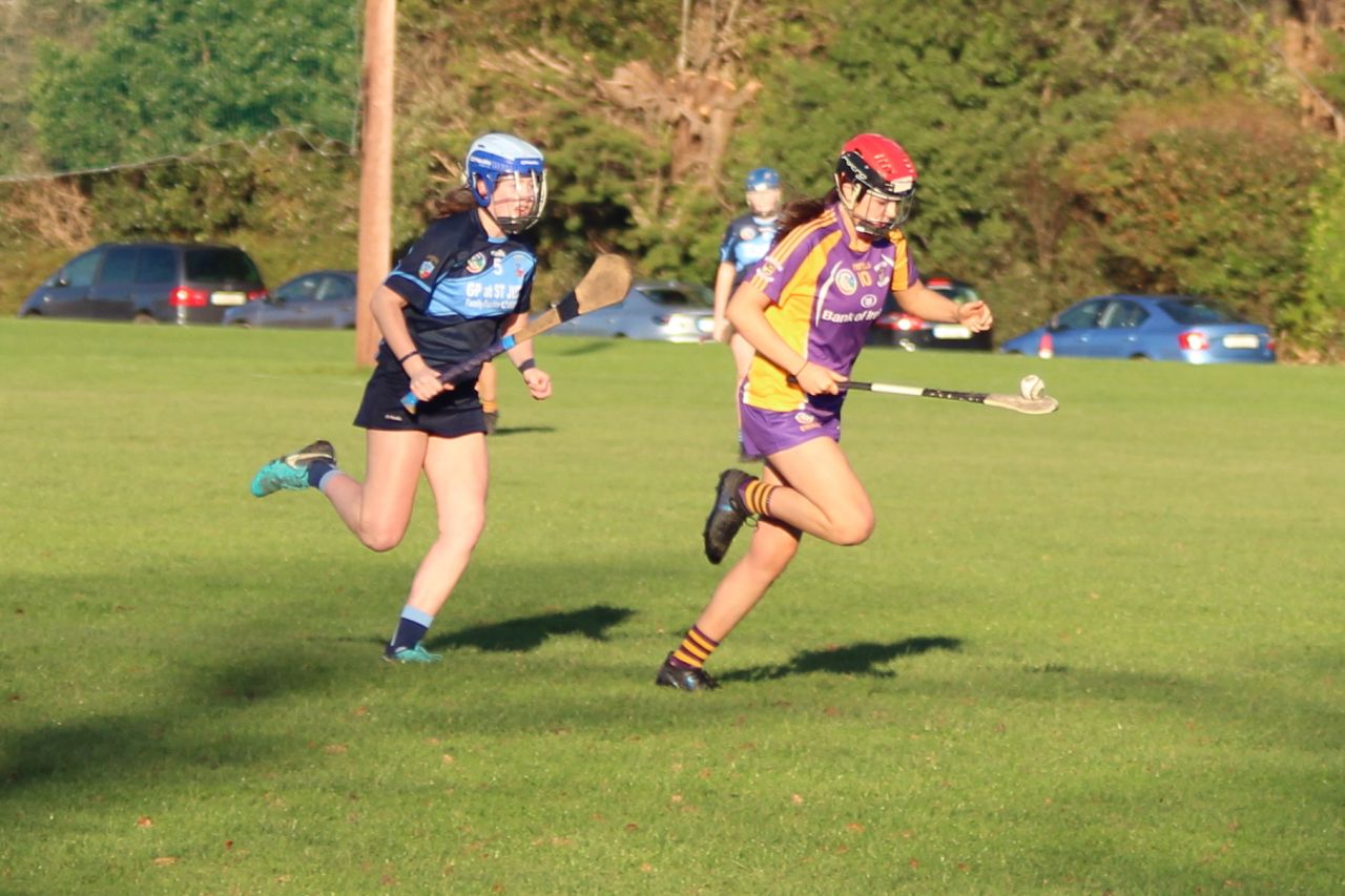 Championship Semi Final win for Kilmacud Crokes Minor A Camogie over Judes