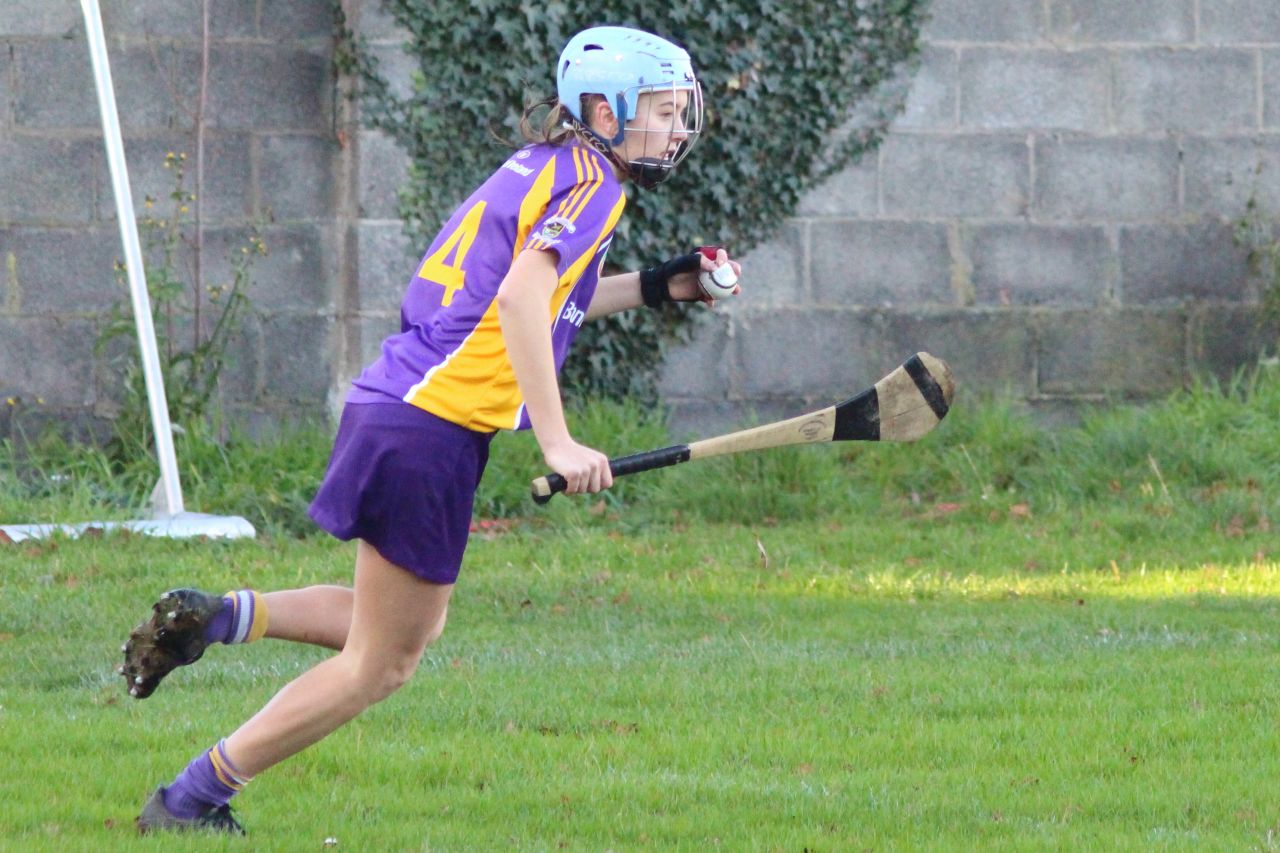 Championship Semi Final win for Kilmacud Crokes Minor A Camogie over Judes