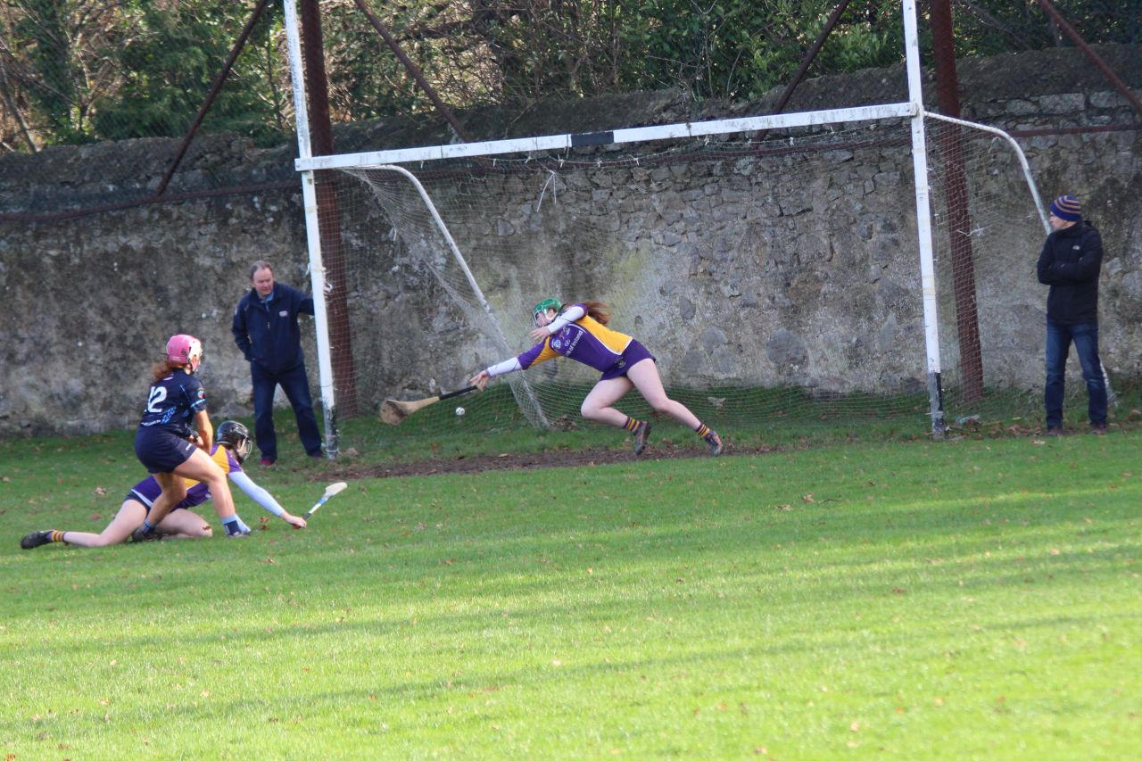 Championship Semi Final win for Kilmacud Crokes Minor A Camogie over Judes