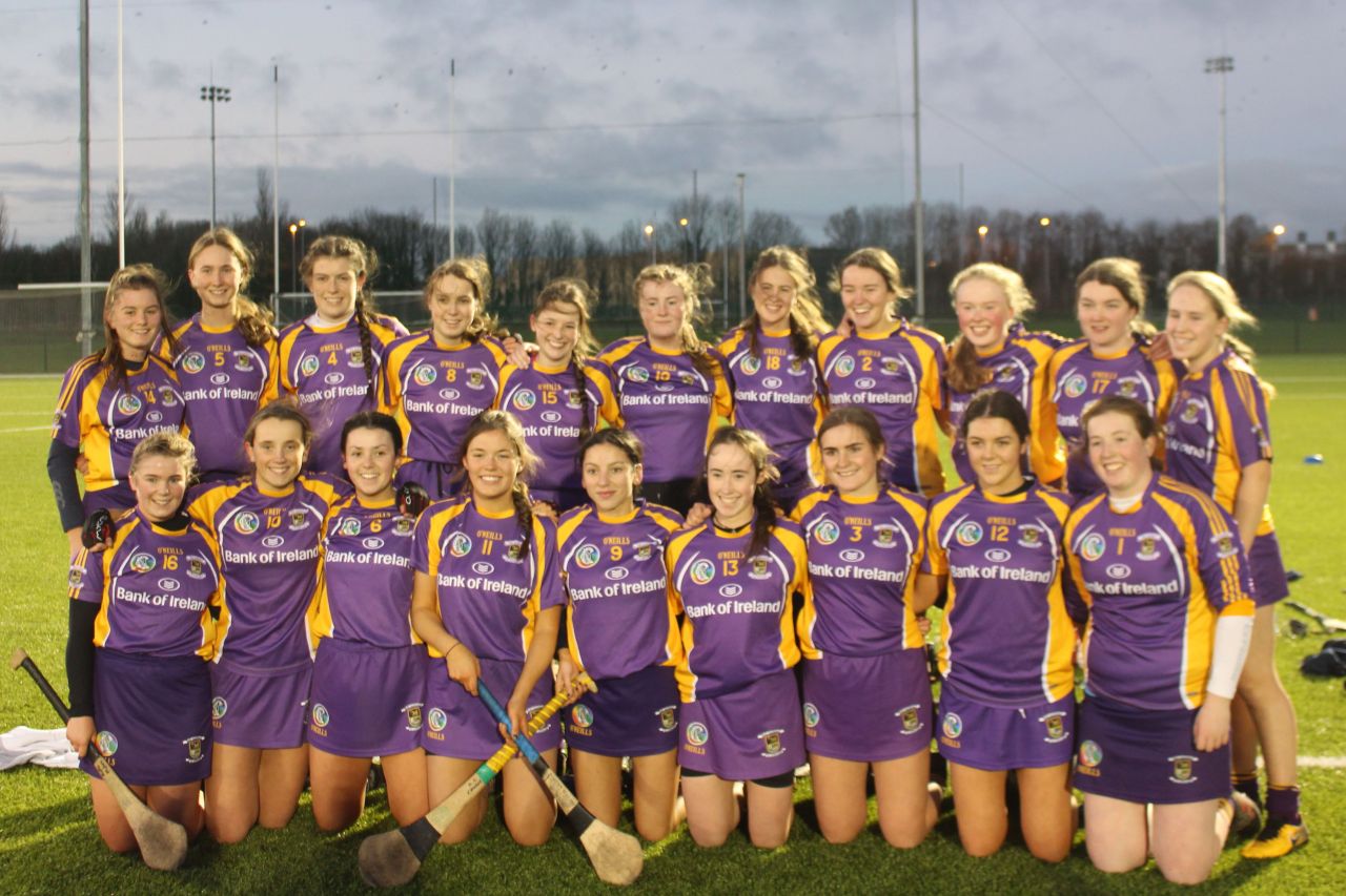 Minor A Camogie V Ballyboden - Championship Final