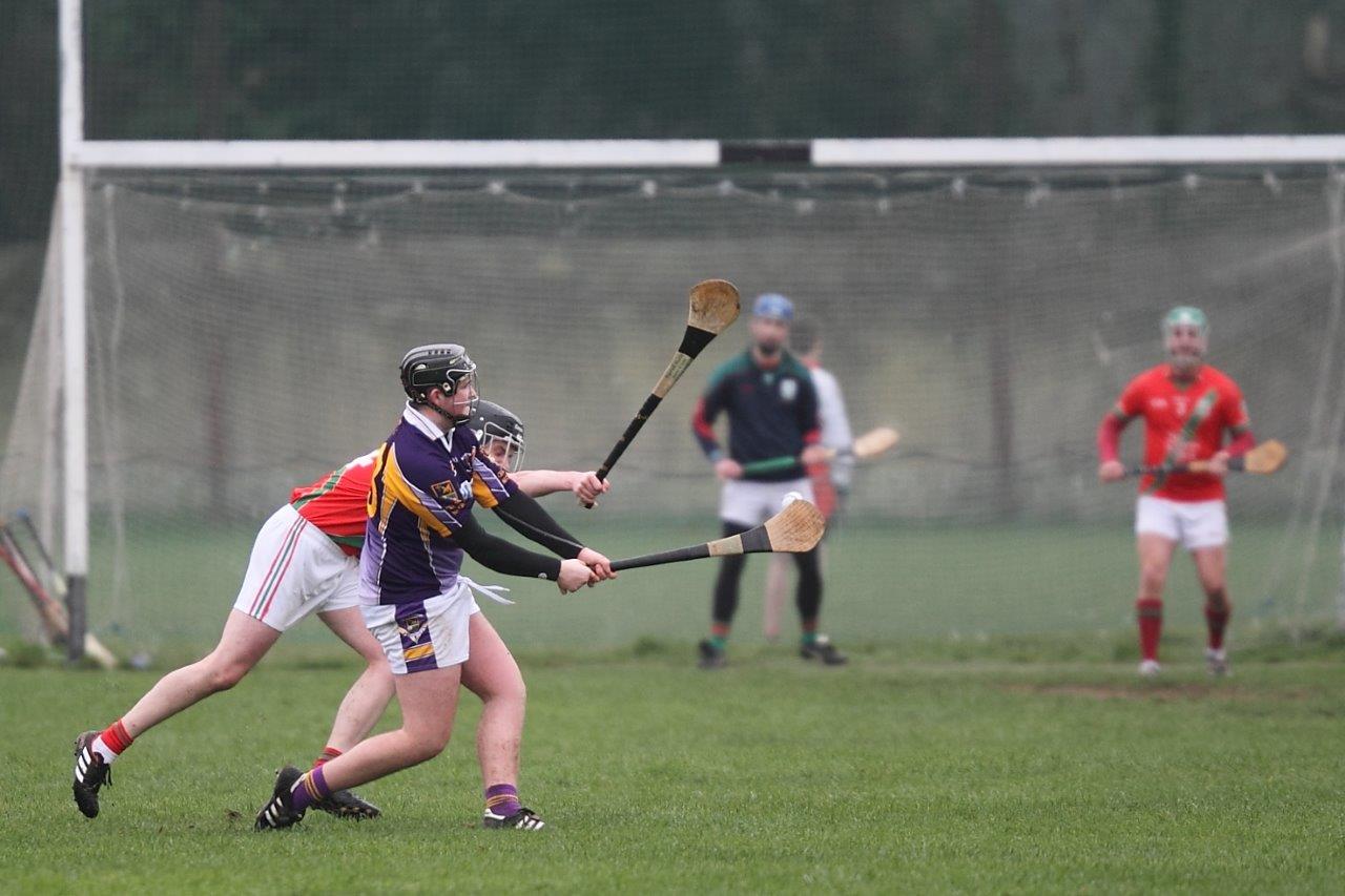 Winning start for AHL4 Hurling Team