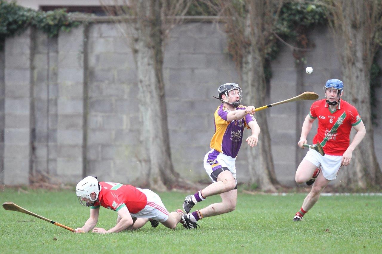 Winning start for AHL4 Hurling Team