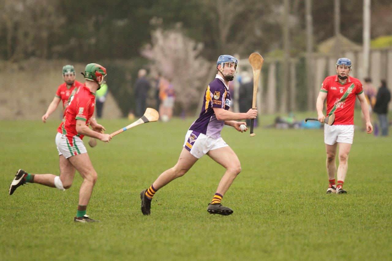 Winning start for AHL4 Hurling Team