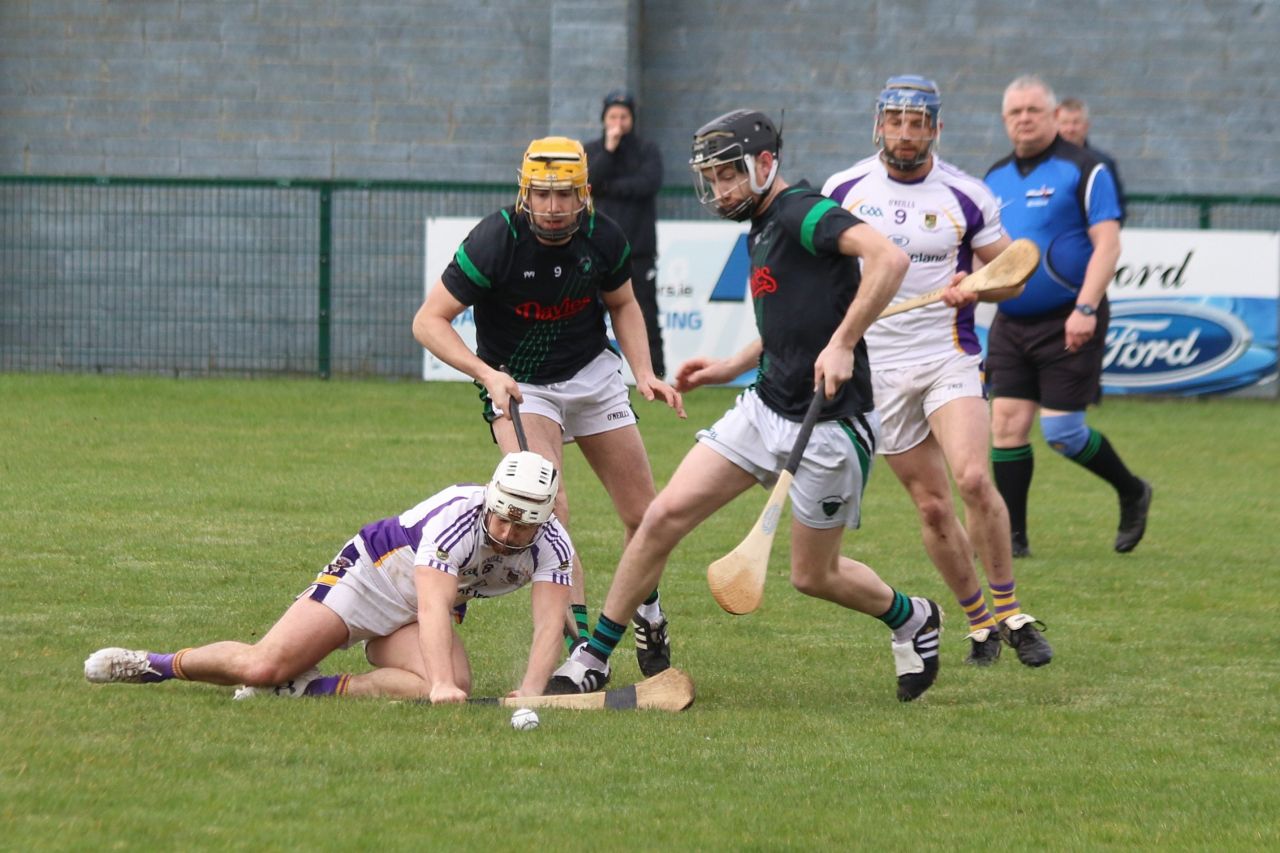 Senior ‘B’ Hurler’s good win over Parnell’s in Opening League Game of the 2019 Season