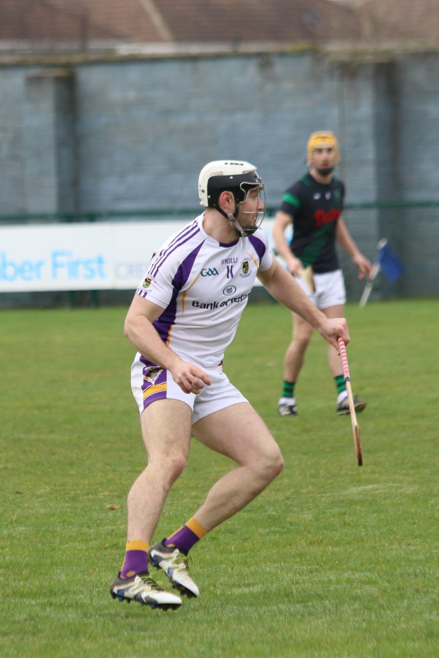 Senior ‘B’ Hurler’s good win over Parnell’s in Opening League Game of the 2019 Season