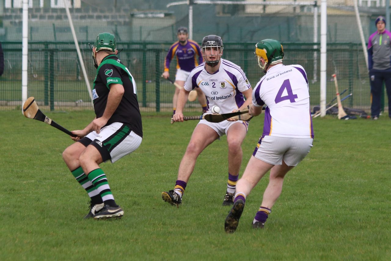 Senior ‘B’ Hurler’s good win over Parnell’s in Opening League Game of the 2019 Season