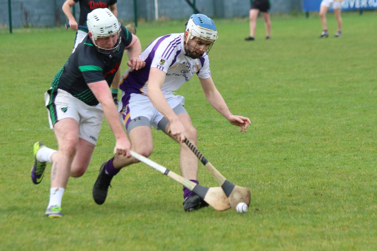 Senior ‘B’ Hurler’s good win over Parnell’s in Opening League Game of the 2019 Season