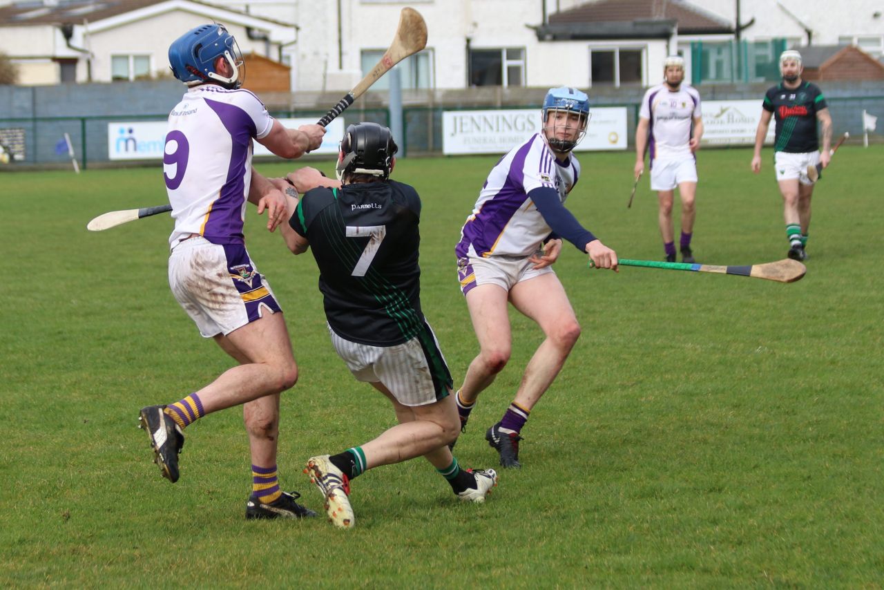 Senior ‘B’ Hurler’s good win over Parnell’s in Opening League Game of the 2019 Season