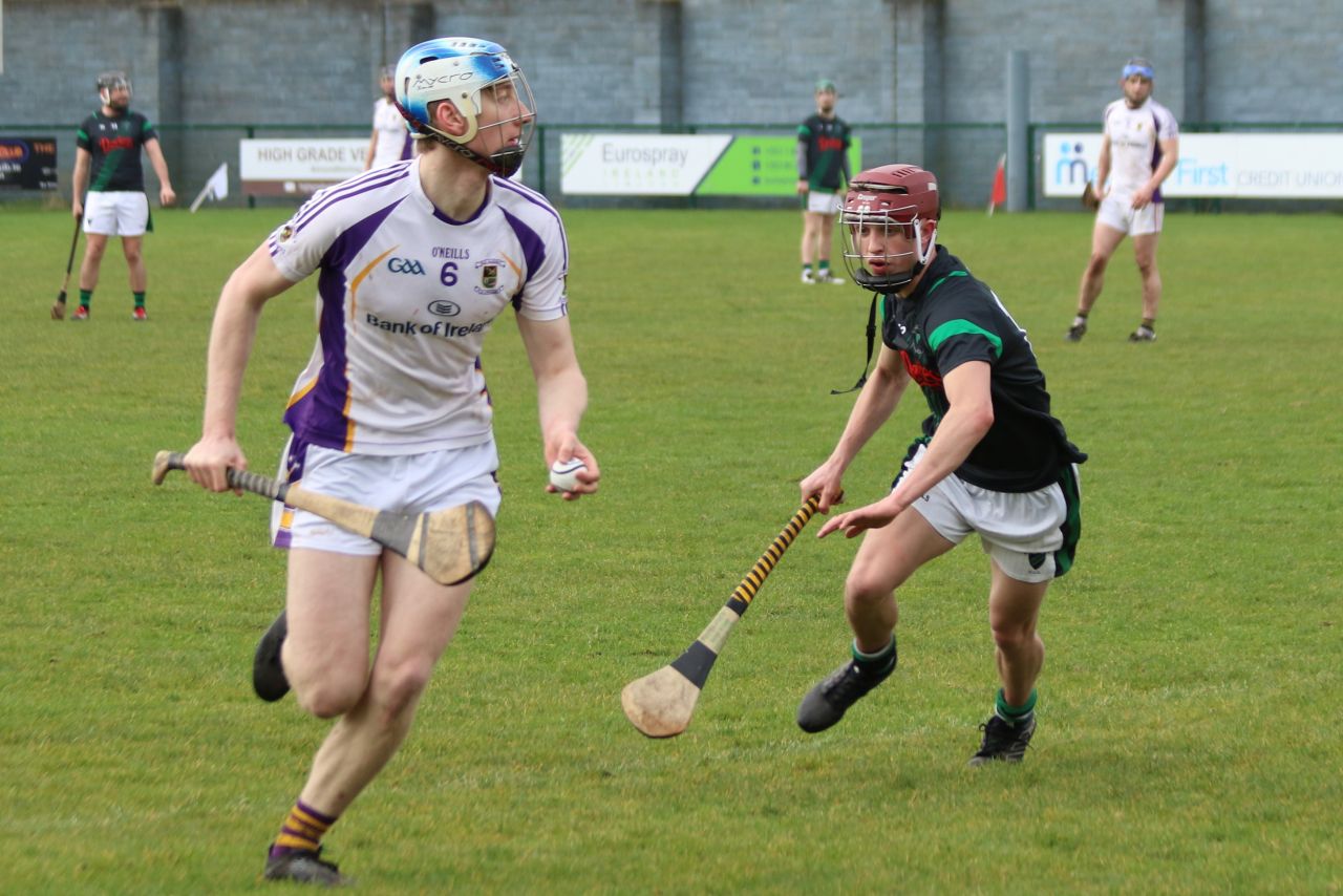 Senior ‘B’ Hurler’s good win over Parnell’s in Opening League Game of the 2019 Season