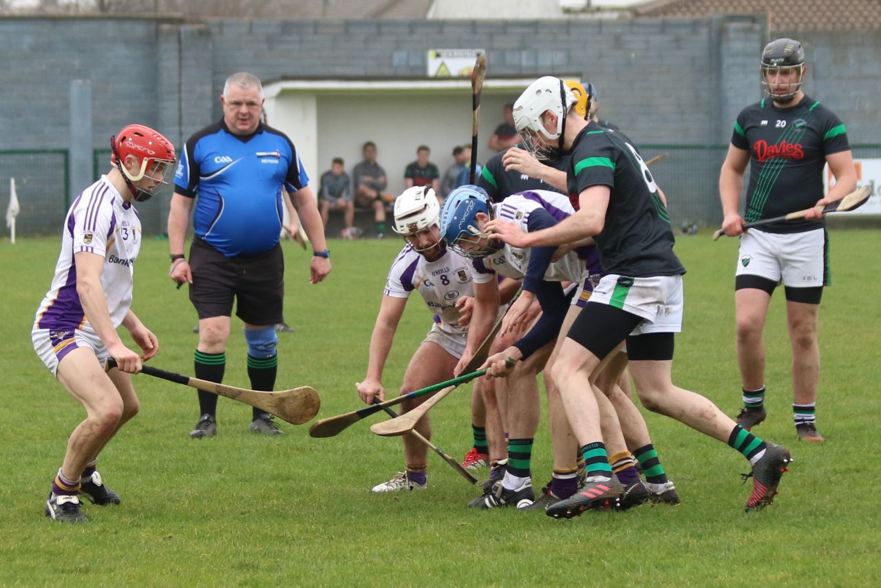 Senior ‘B’ Hurler’s good win over Parnell’s in Opening League Game of the 2019 Season