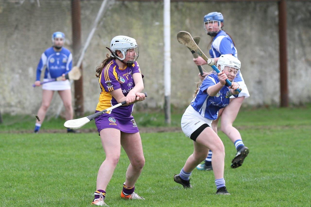 Good win against Celbridge for U16A Camogie team