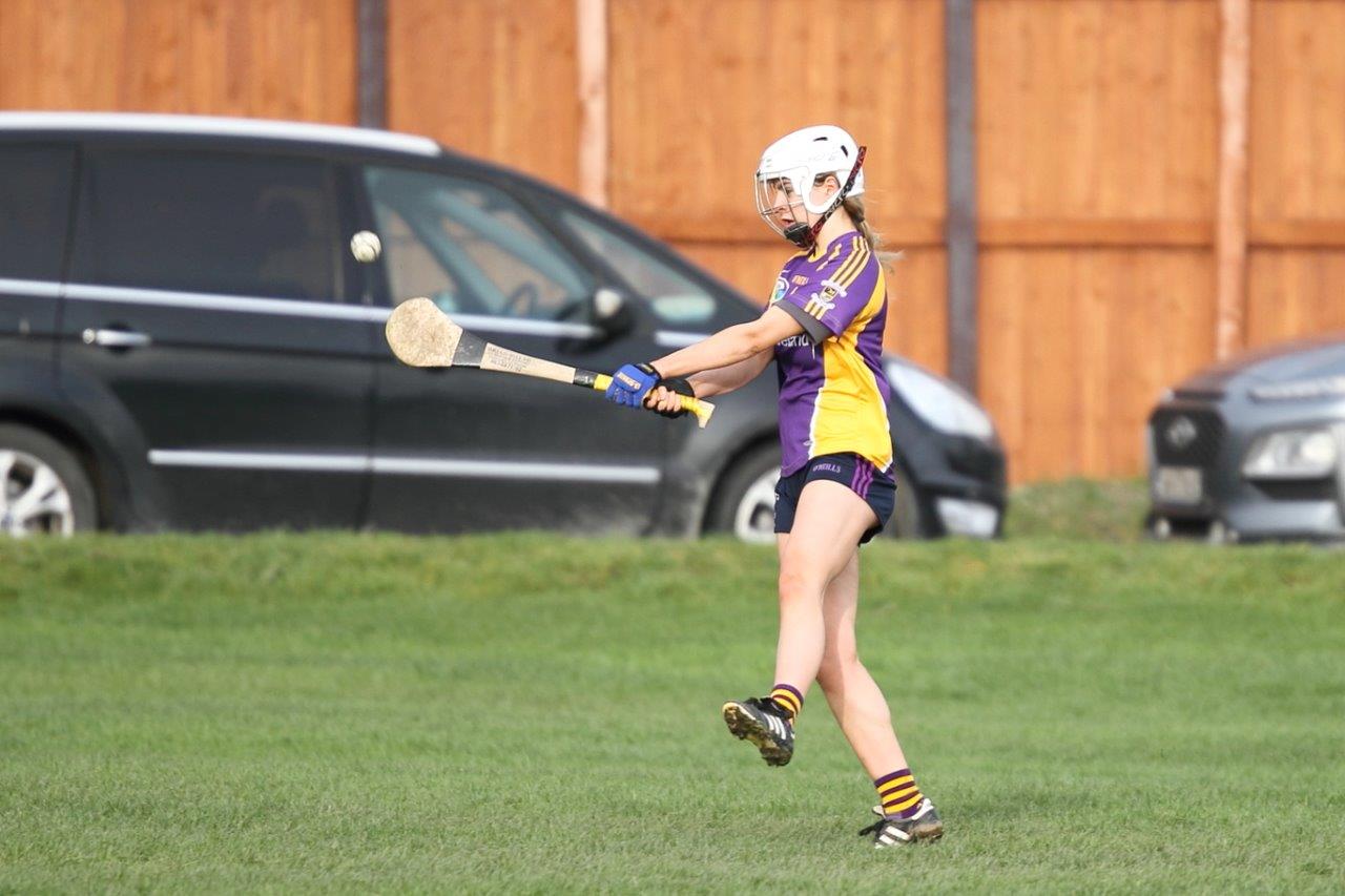 Good win against Celbridge for U16A Camogie team