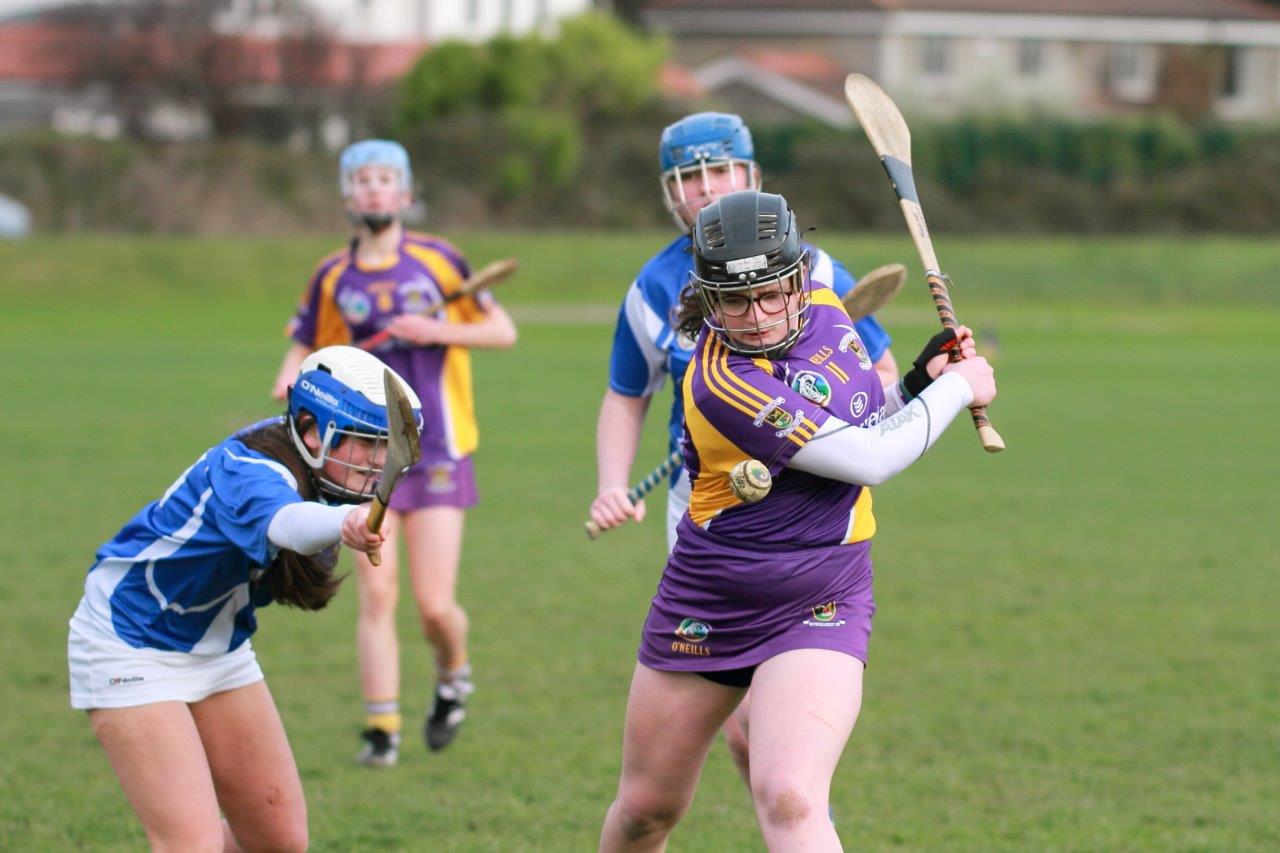 Good win against Celbridge for U16A Camogie team