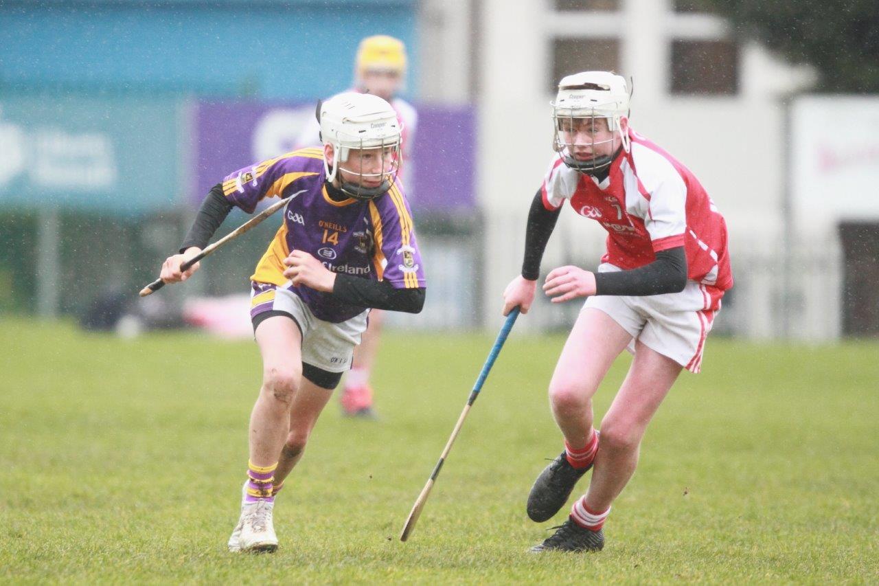 Strong performance against Cuala for U14A hurlers