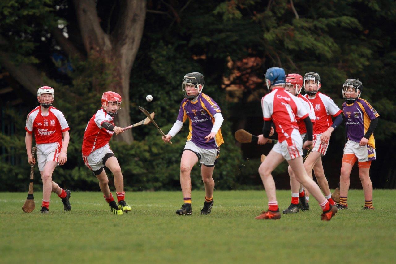 Strong performance against Cuala for U14A hurlers