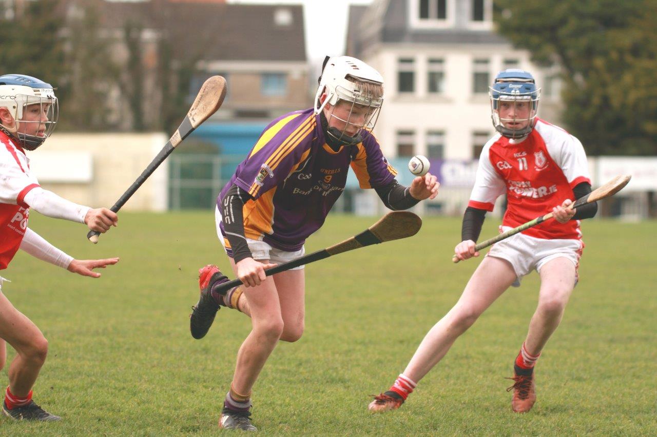 Strong performance against Cuala for U14A hurlers