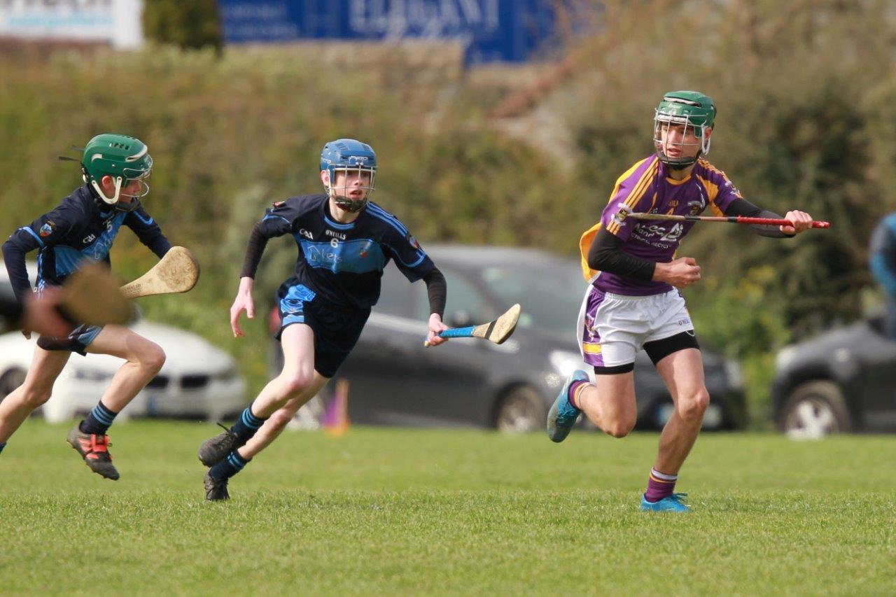 U14AHurling Féile Semi Final