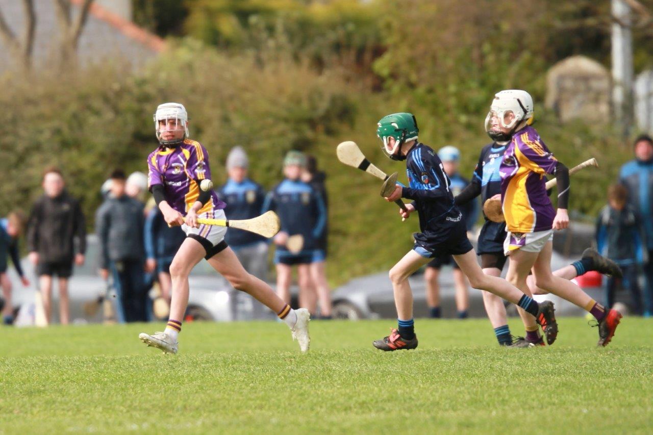 U14AHurling Féile Semi Final