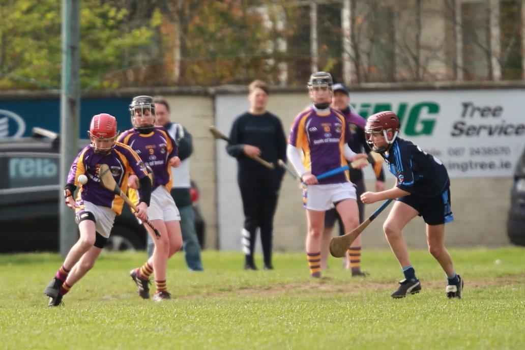 U14AHurling Féile Semi Final