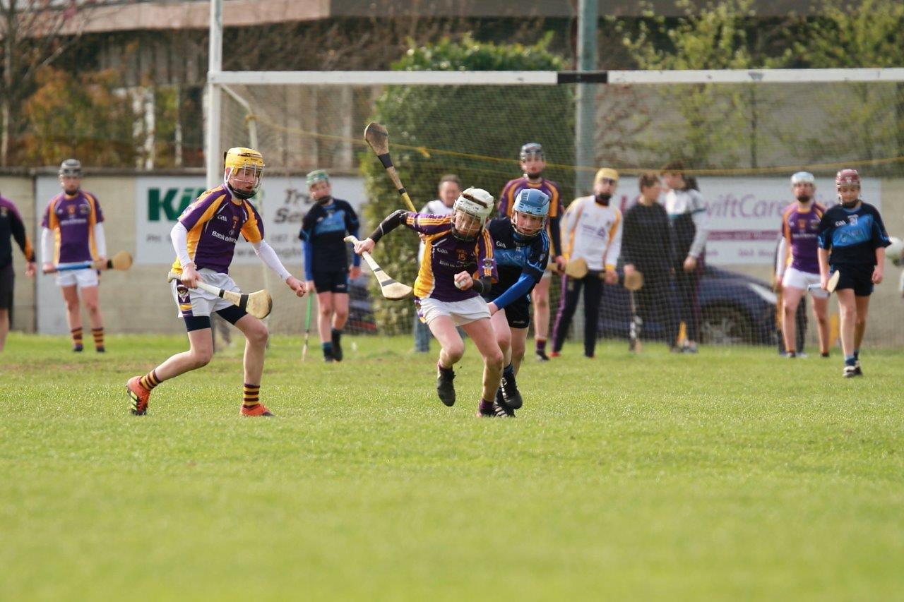 U14AHurling Féile Semi Final