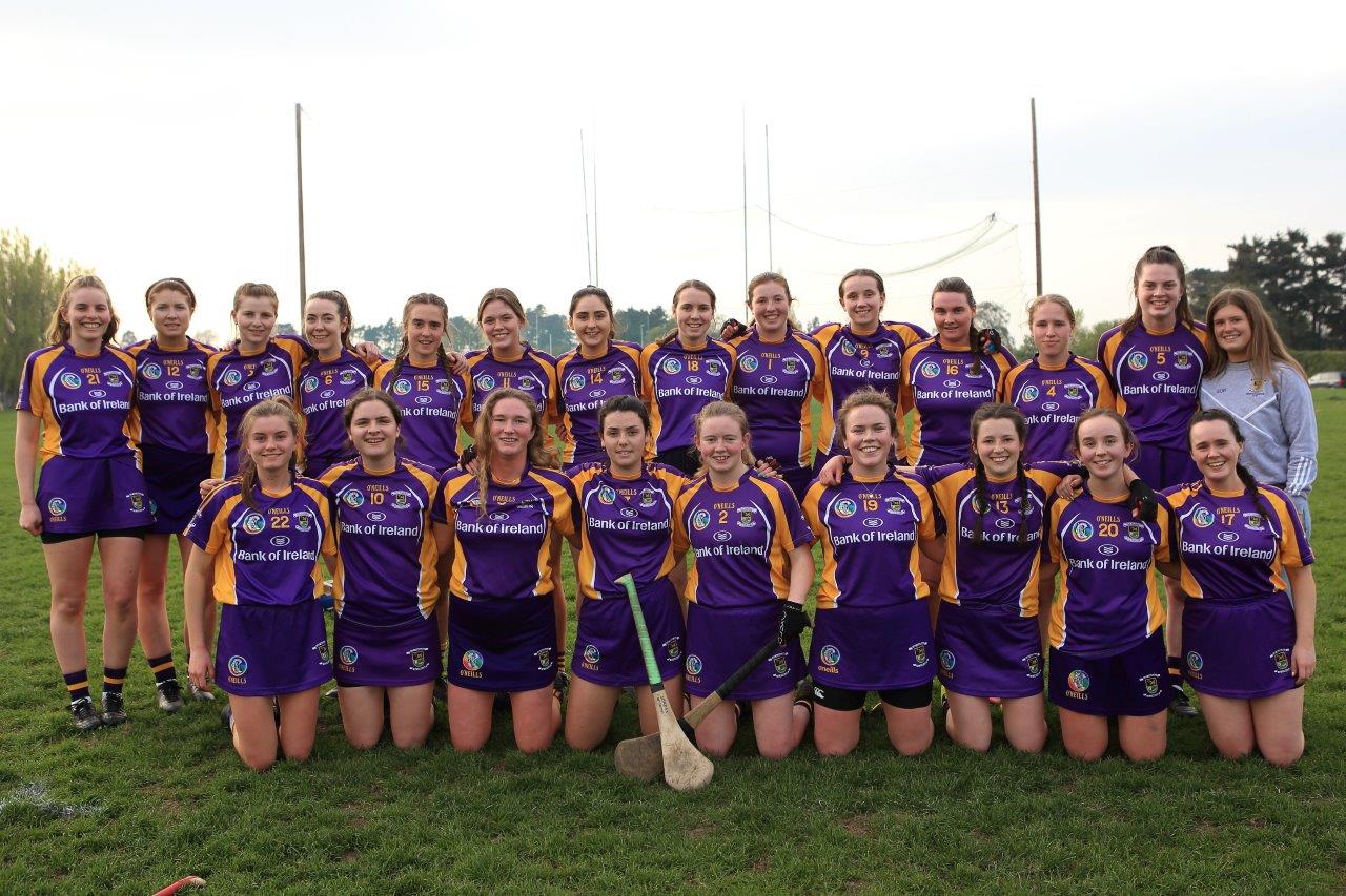 Good win for Senior Camogoie team against Raheny