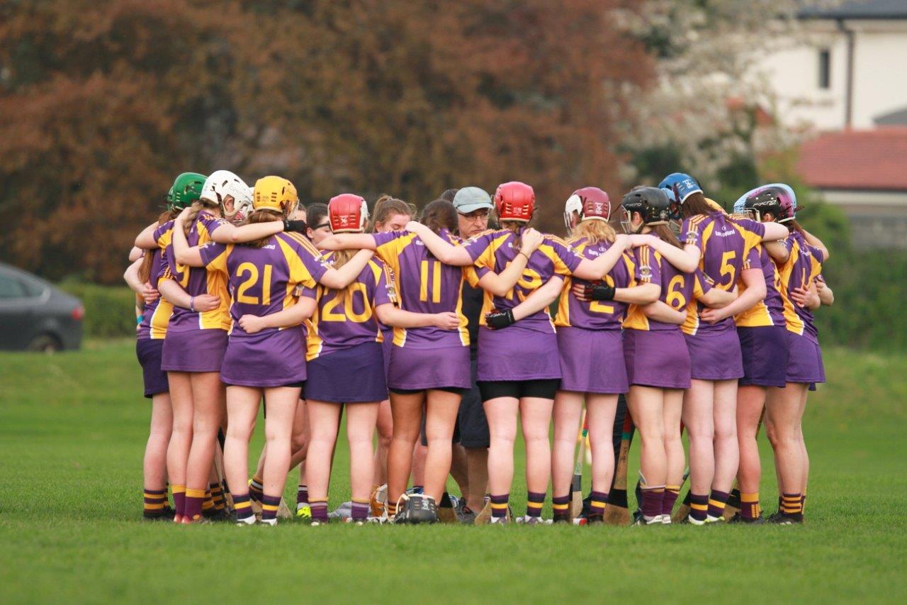 Good win for Senior Camogoie team against Raheny