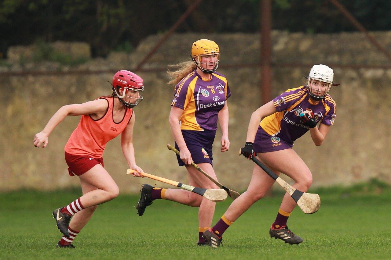 Good win for Senior Camogoie team against Raheny