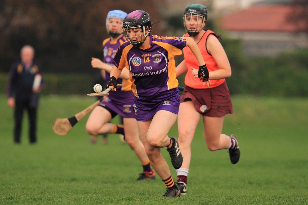 Good win for Senior Camogoie team against Raheny