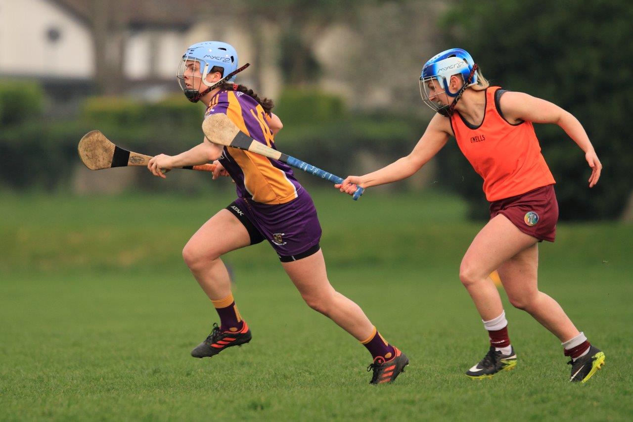 Good win for Senior Camogoie team against Raheny