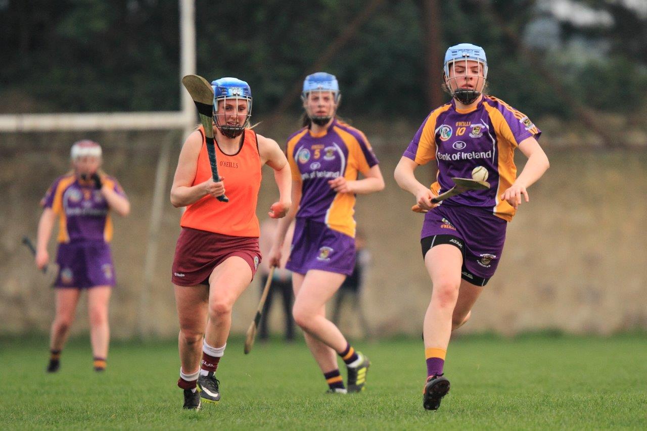 Good win for Senior Camogoie team against Raheny