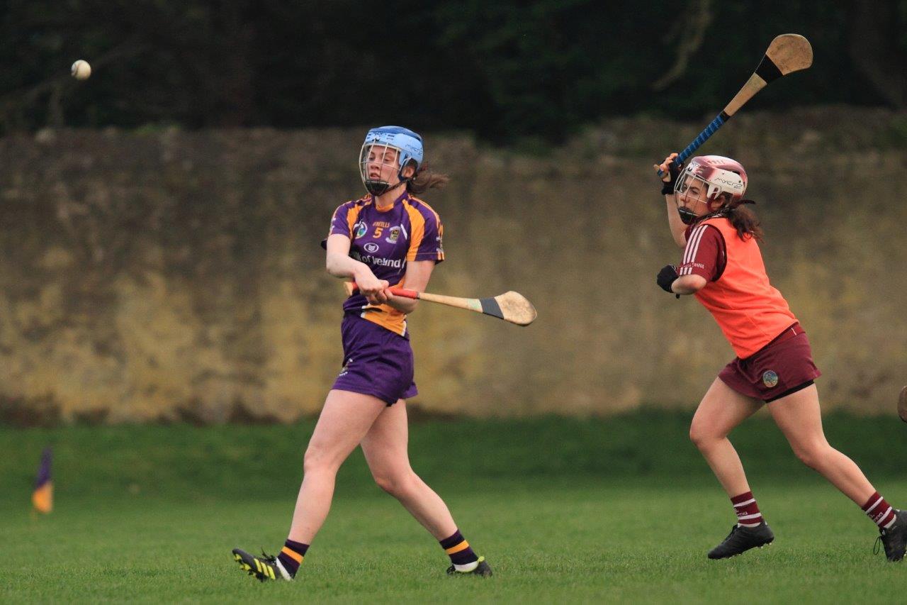 Good win for Senior Camogoie team against Raheny