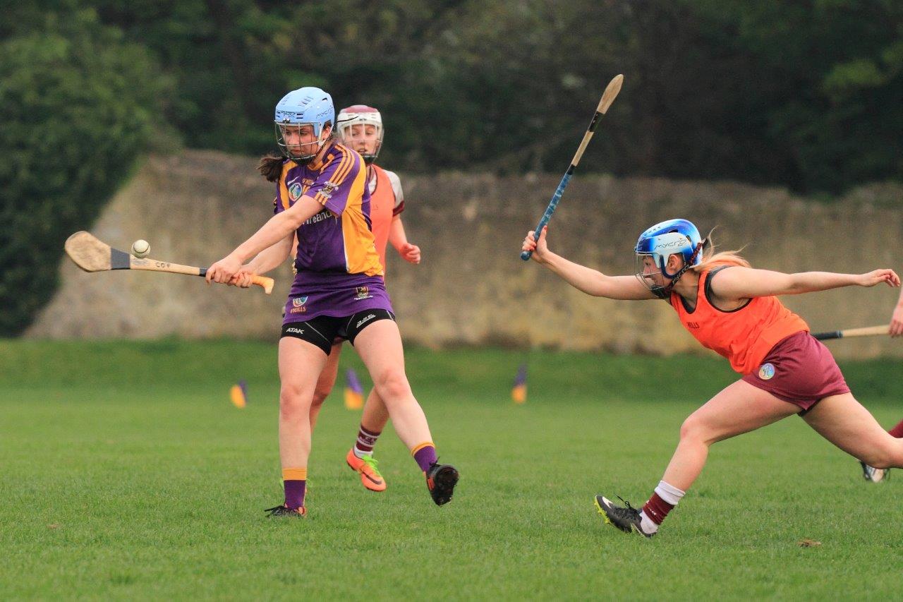 Good win for Senior Camogoie team against Raheny