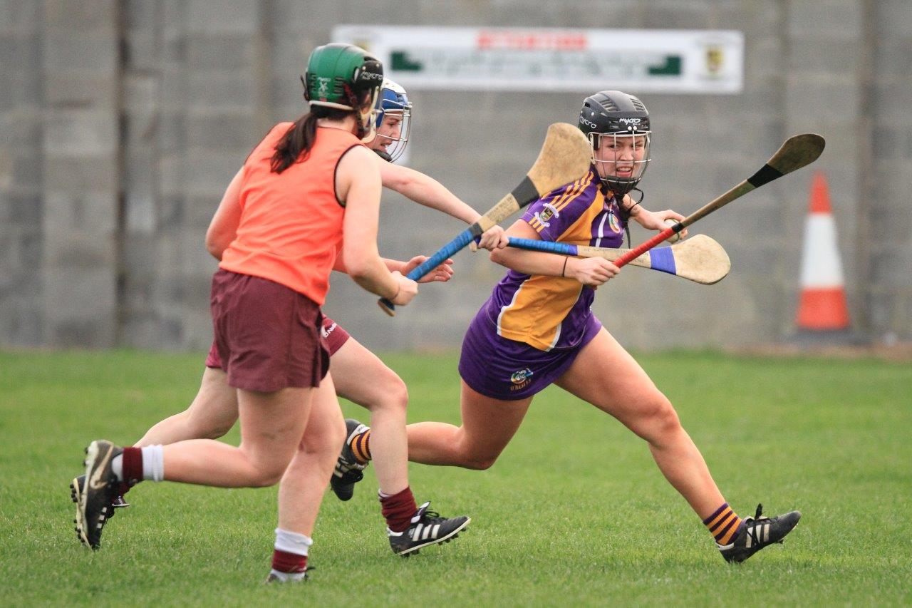 Good win for Senior Camogoie team against Raheny