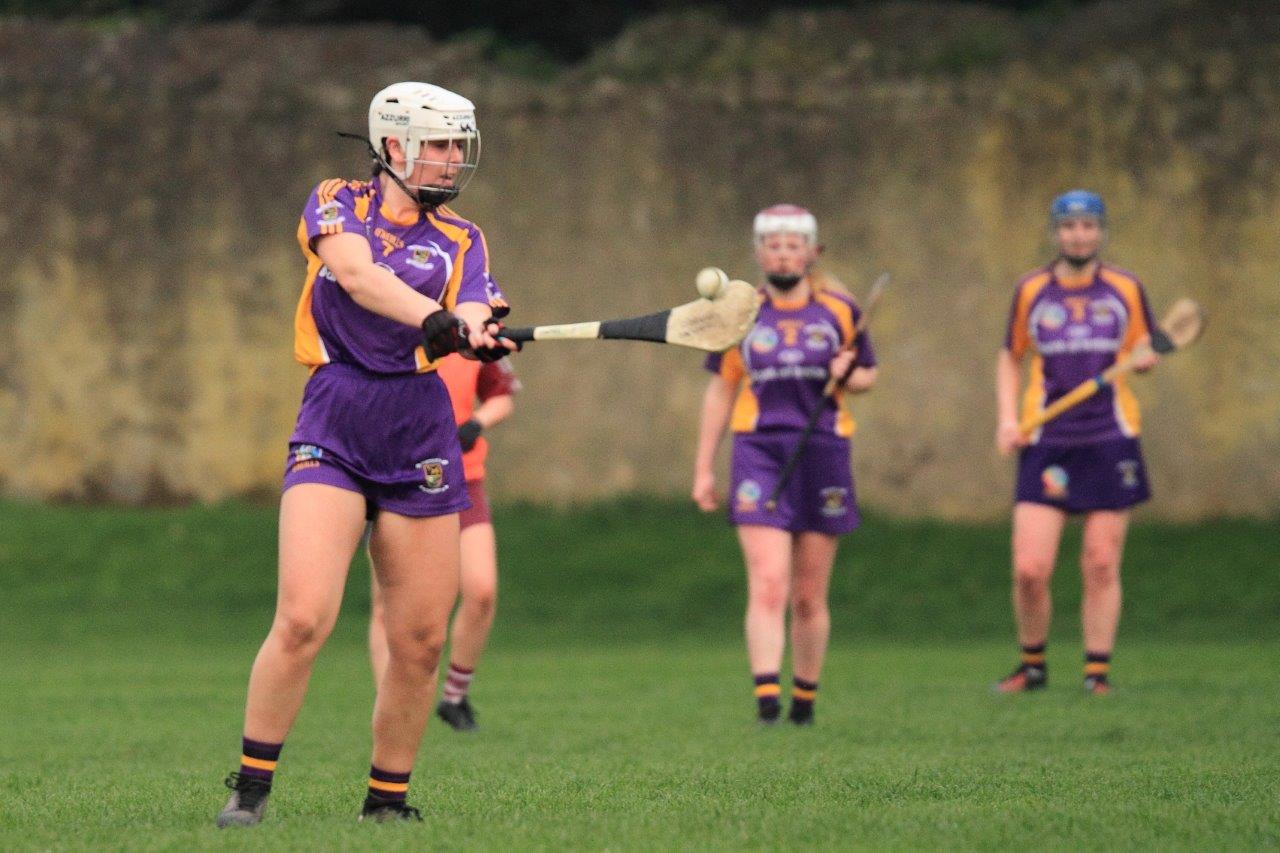 Good win for Senior Camogoie team against Raheny