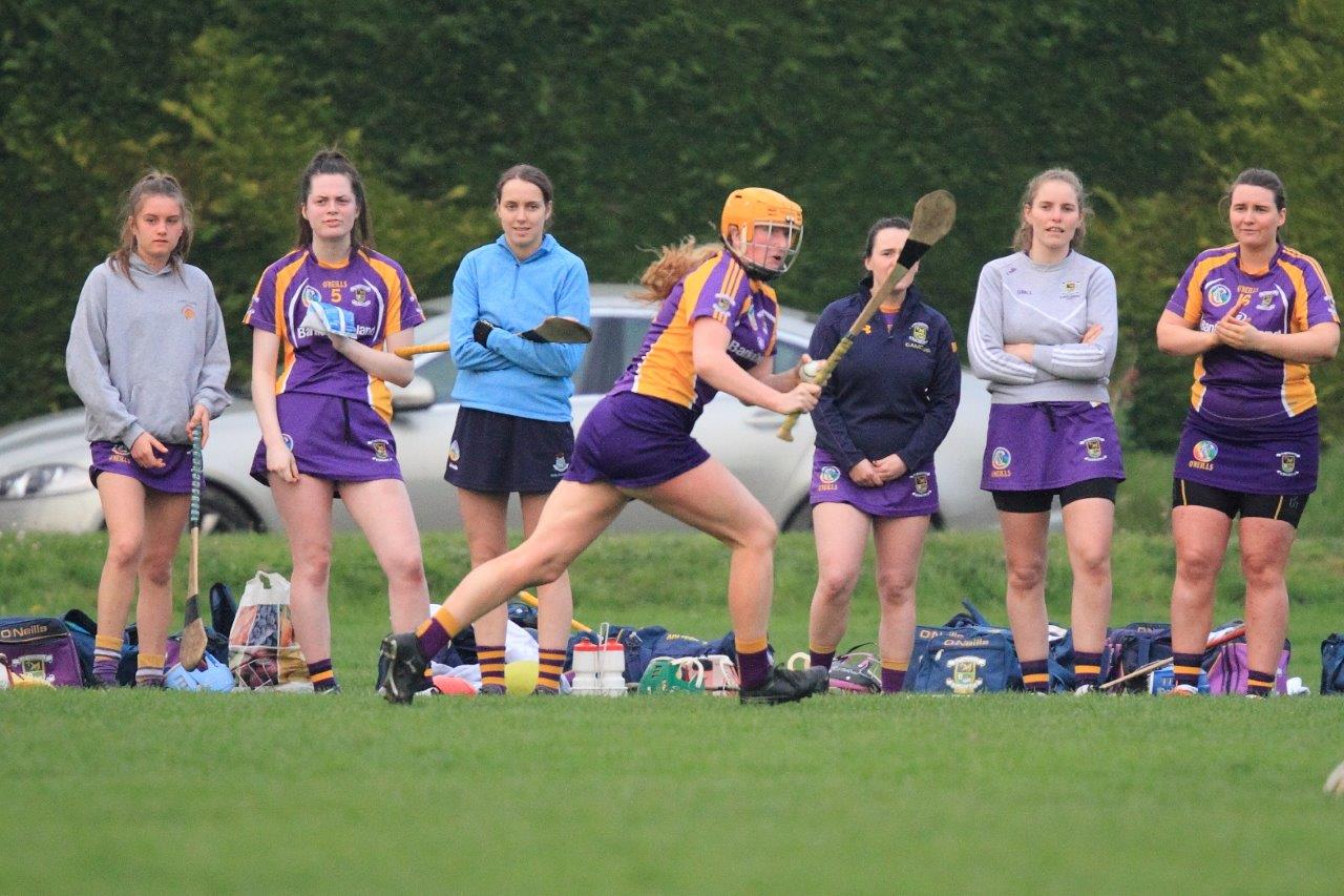 Good win for Senior Camogoie team against Raheny