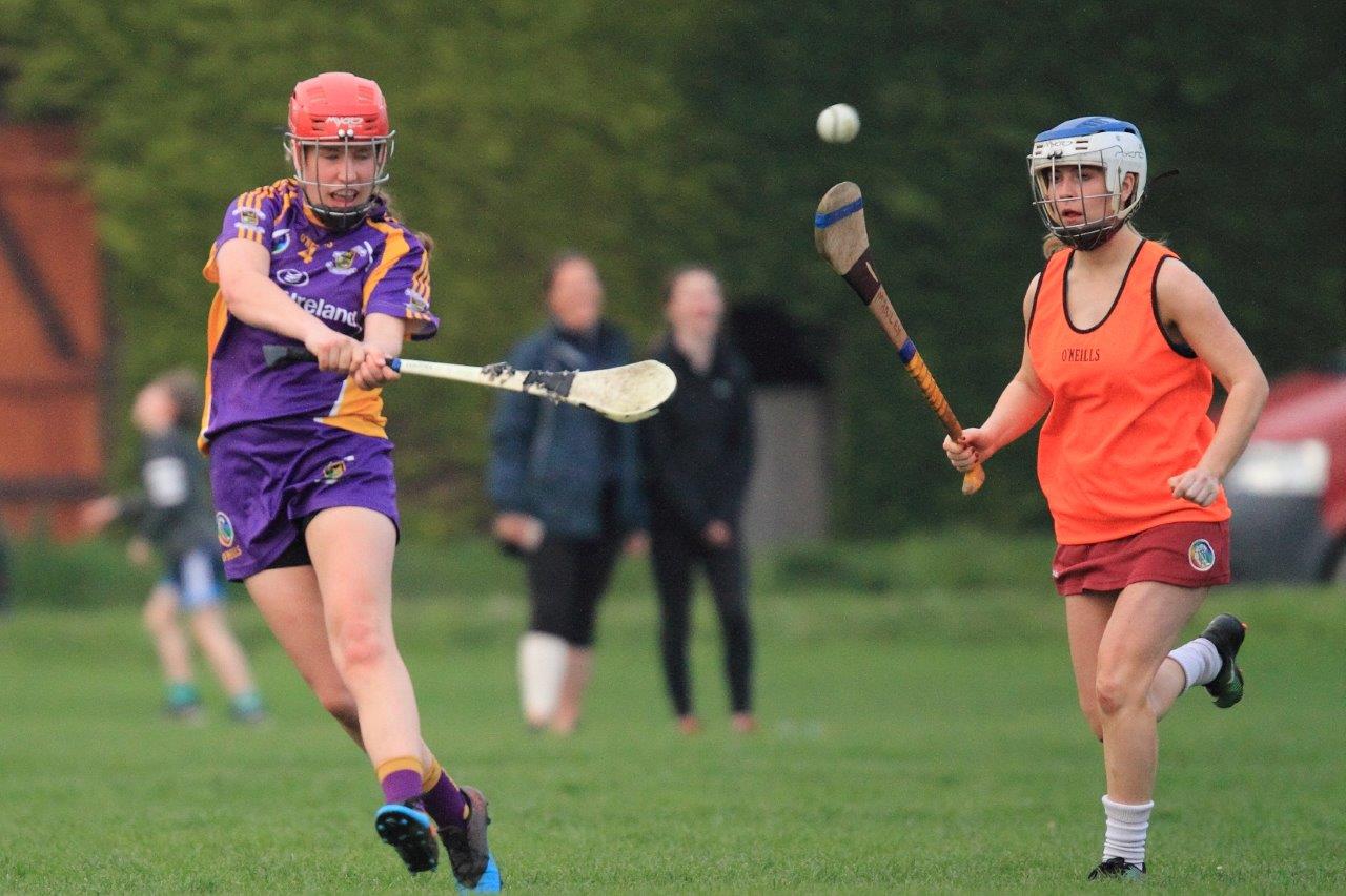 Good win for Senior Camogoie team against Raheny