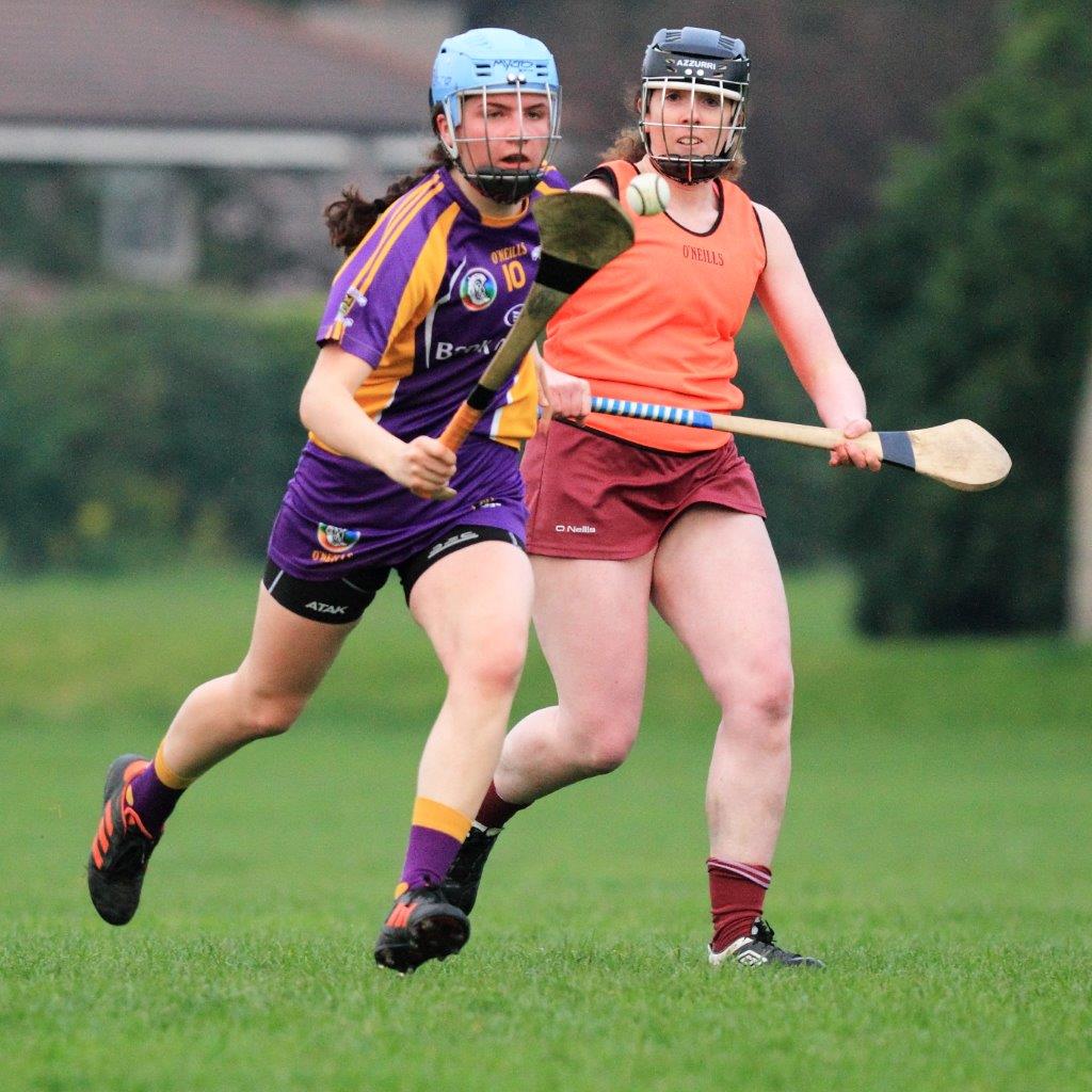 Good win for Senior Camogoie team against Raheny