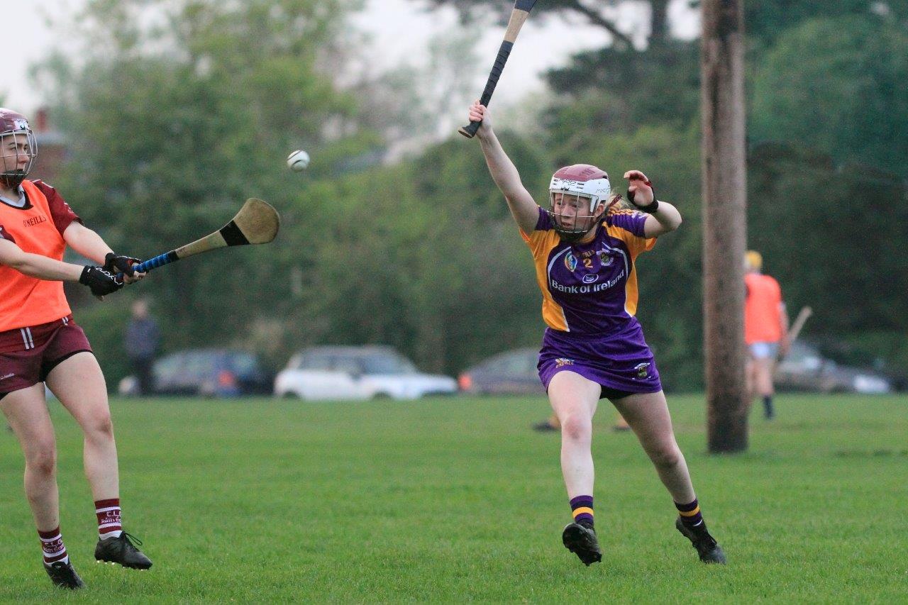 Good win for Senior Camogoie team against Raheny