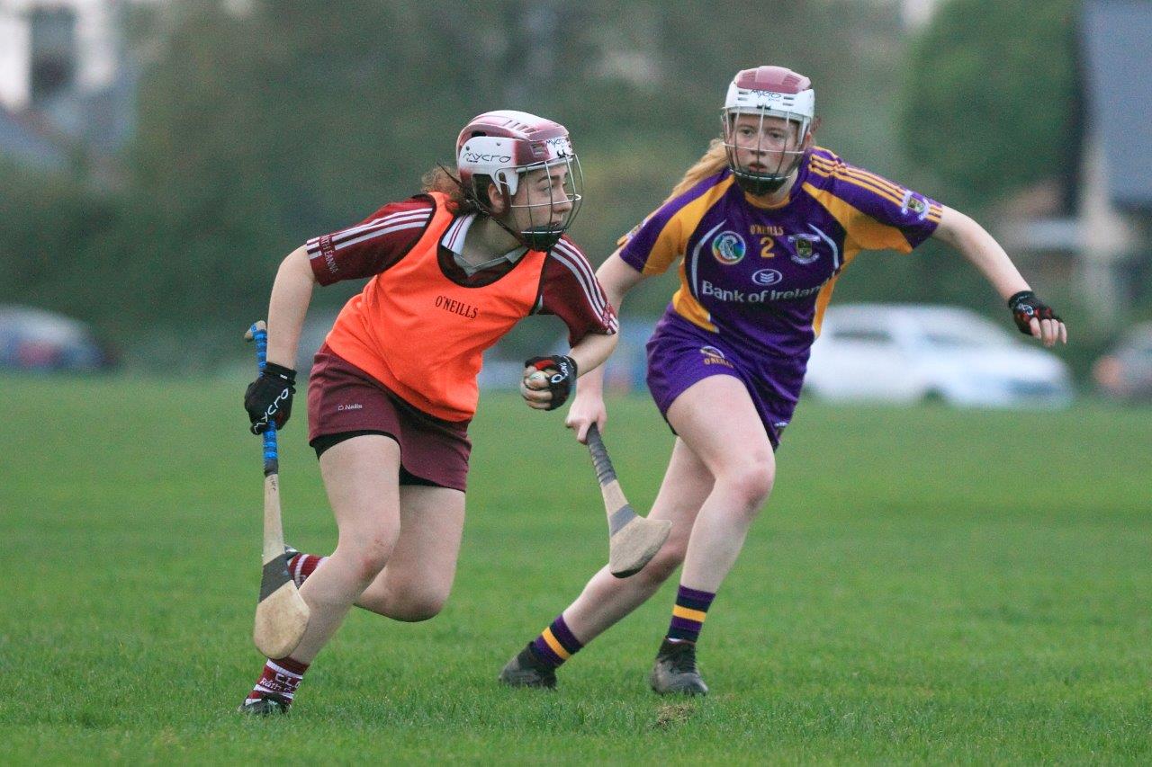 Good win for Senior Camogoie team against Raheny