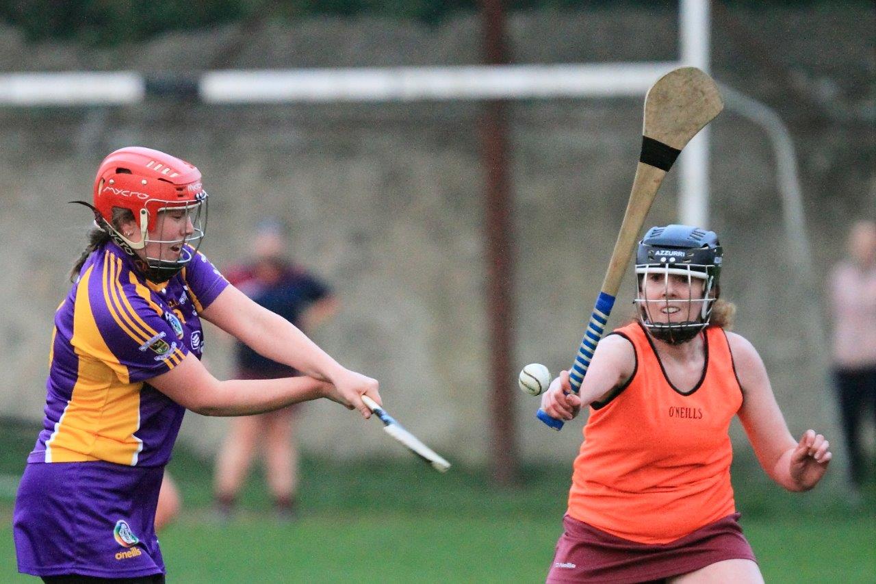 Good win for Senior Camogoie team against Raheny