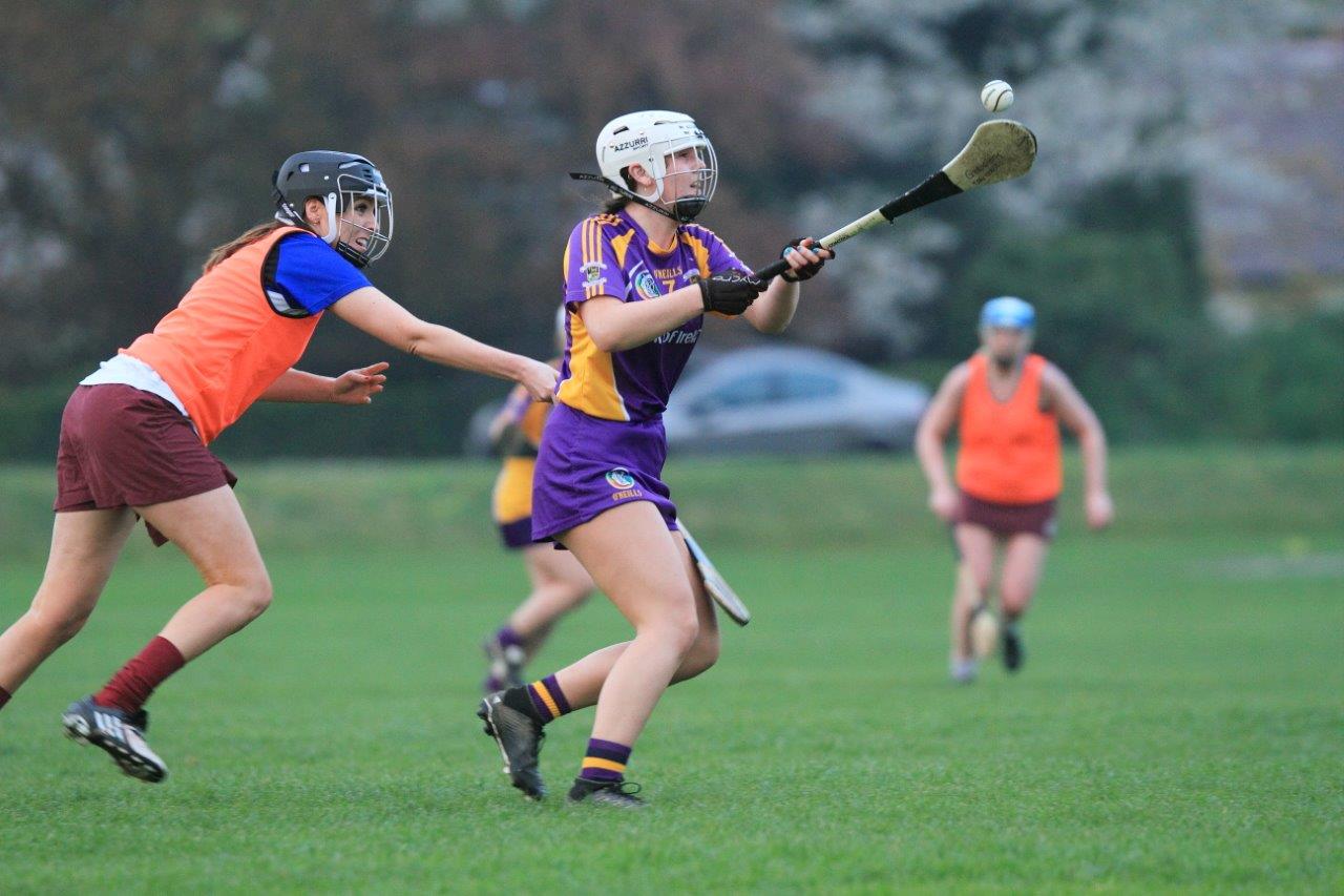 Good win for Senior Camogoie team against Raheny