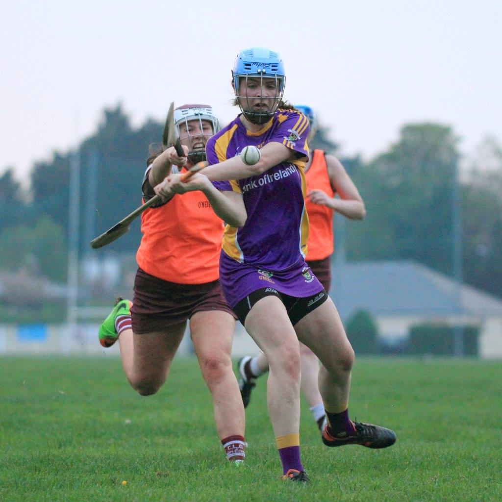 Good win for Senior Camogoie team against Raheny